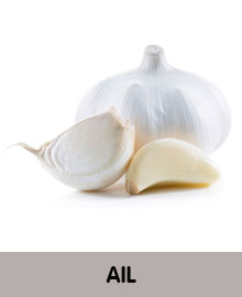 tête d'ail légume frais