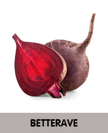 betterave légume frais
