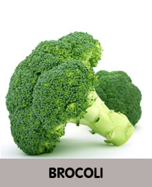 brocolis légumes frais