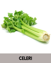 céleri légume frais