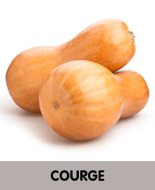 courge butternut