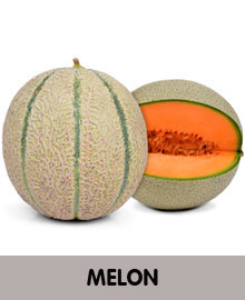 MELON-2.jpg
