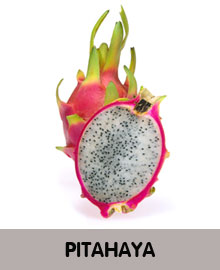 PITAHAYA.jpg