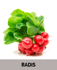 RADIS