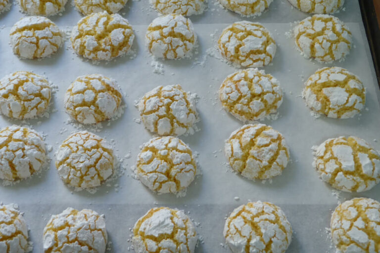 shutterstock_1733148884 (1)