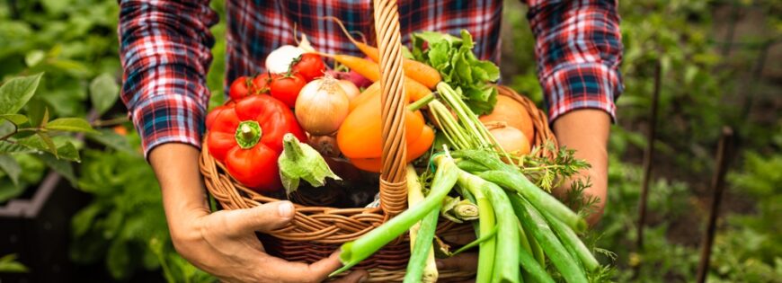 pleins de produits biologiques dans les bras d'un agriculteur