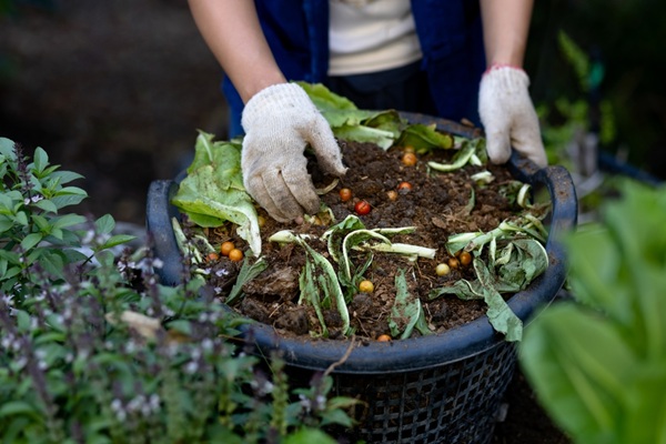 main de jardinier dans un bac à compost