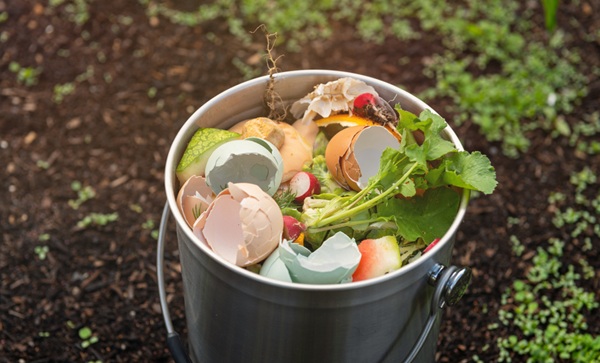 seau de déchets organiques à composter