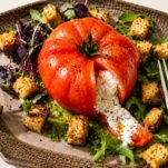 Tomate buratta