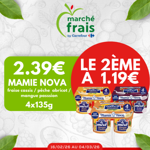 Affiche promos WORDPRESS (600 x 611 px)